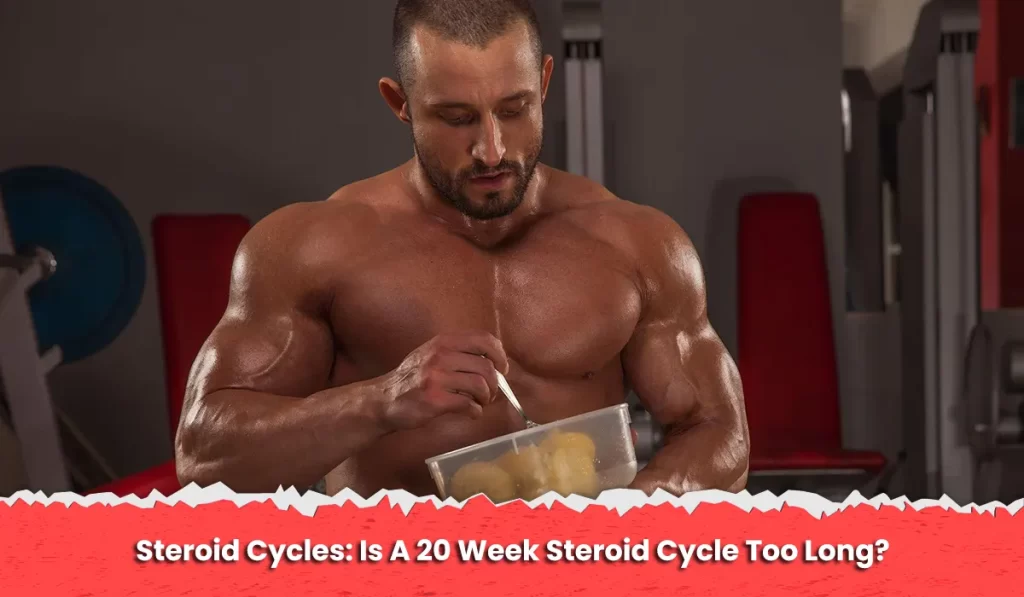 Steroid Cycles: Is A 20 Week Steroid Cycle Too Long?